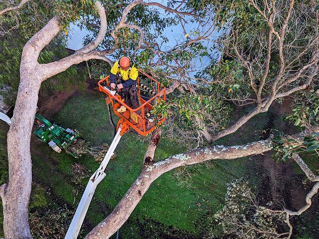 Titan Platforms supporting Landscaping & Tree Surgery